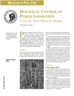 Cover of RESEARCH PAYS OFF: BIOLOGICAL CONTROL OF PURPLE LOOSESTRIFE: WETLANDS WEED MEETS THE BEETLES